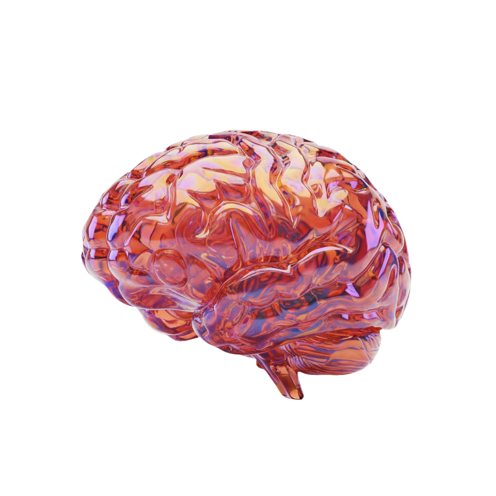 Ilustración ·D de un cerebro