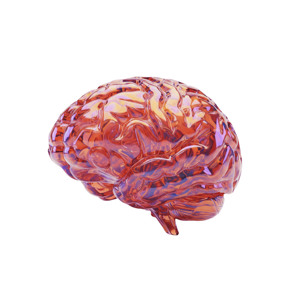 Ilustración 3D de un cerebro