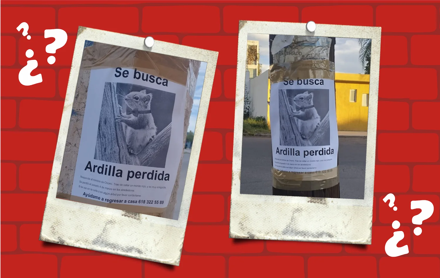 Letreros pegados en poster para campaña de marketing